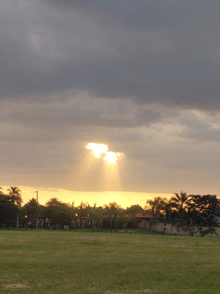 IMG_20221109_175101694